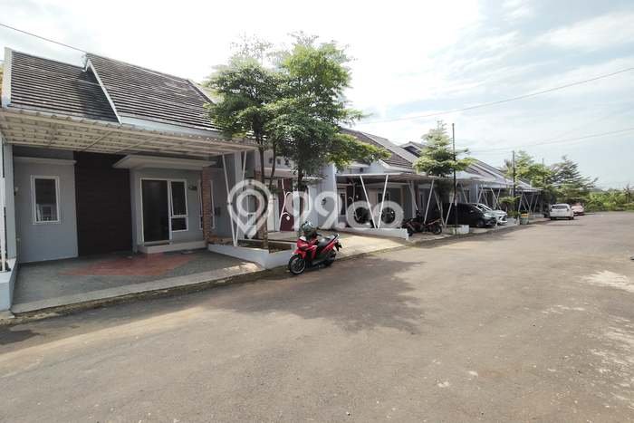 Jual Rumah Minimalis Bagus Punya 3 KT di Sumbang Banyumas SHM Jual Rumah Minimalis Bagus Punya 3 KT di Sumbang Banyumas SHM