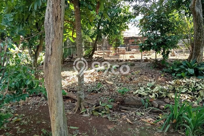 Untuk Dijual Tanah di Purwokerto Utara Banyumas Luas 336m2 SHM Untuk Dijual Tanah di Purwokerto Utara Banyumas Luas 336m2 SHM