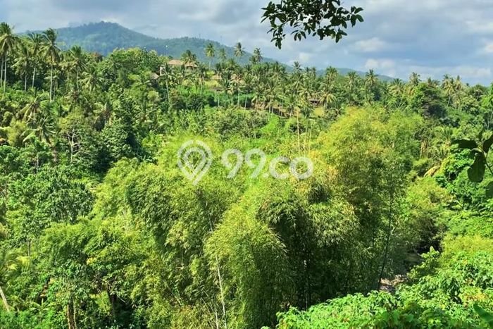 Tanah Dijual Area Strategis di Jimbaran Badung 13250m2 Tanah Dijual Area Strategis di Jimbaran Badung 13250m2