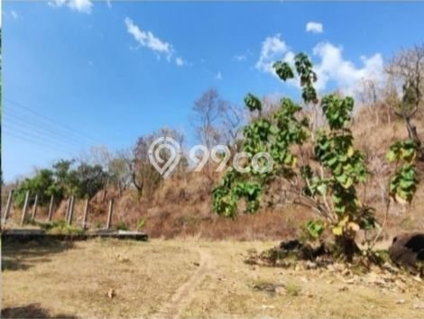 Tanah Kavling Dijual di Buleleng dengan Spesifikasi 10000m2 Tanah Kavling Dijual di Buleleng dengan Spesifikasi 10000m2