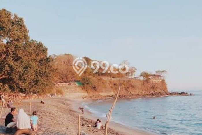 Lahan Dijual Lokasi Batu Layar, Lombok Barat dengan Luas Tanah 30000m2 dan Status SHM Lahan Dijual Lokasi Batu Layar, Lombok Barat dengan Luas Tanah 30000m2 dan Status SHM