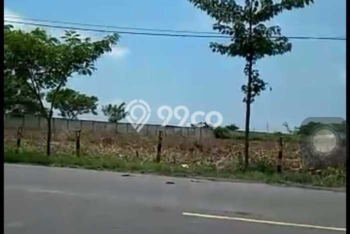 Tanah Kavling untuk Dijual di Widang Tuban 43000m2 Tanah Kavling untuk Dijual di Widang Tuban 43000m2