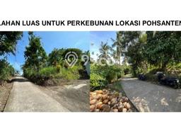 Dijual Tanah Lokasi Pohsanten, Jembrana Seluas 6935m2 Dijual Tanah Lokasi Pohsanten, Jembrana Seluas 6935m2