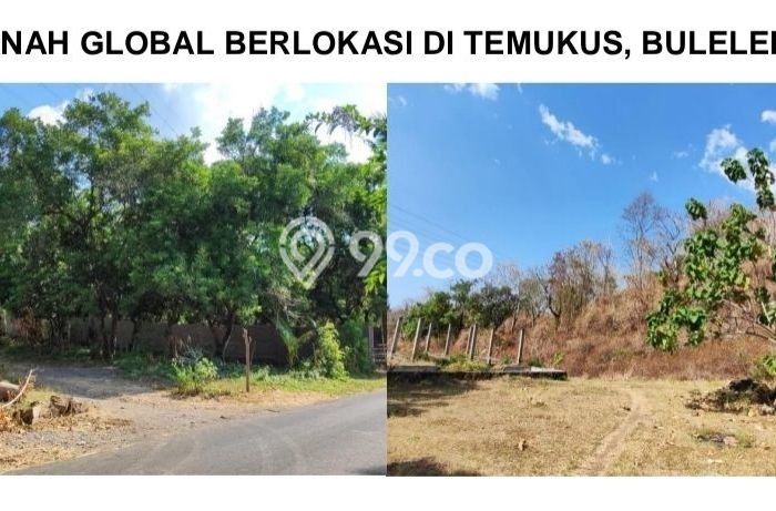 Tanah Kavling Dijual di Buleleng dengan Spesifikasi 10000m2 Tanah Kavling Dijual di Buleleng dengan Spesifikasi 10000m2