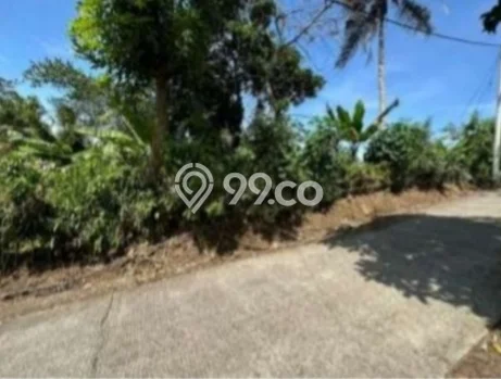 Tanah Kavling Dijual di Pohsanten, Jembrana dengan Luas Tanah 2540m2 Tanah Kavling Dijual di Pohsanten, Jembrana dengan Luas Tanah 2540m2