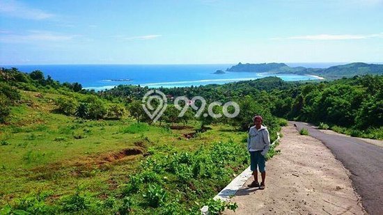 Tanah Komersial Dijual di Sekotong Lombok Barat 29485m2 Tanah Komersial Dijual di Sekotong Lombok Barat 29485m2
