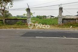 Lahan untuk Dijual Lokasi Lamongan, Lamongan Luas 80000m2 SHM Lahan untuk Dijual Lokasi Lamongan, Lamongan Luas 80000m2 SHM