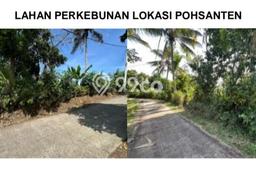 Tanah Kavling Dijual di Pohsanten, Jembrana dengan Luas Tanah 2540m2 Tanah Kavling Dijual di Pohsanten, Jembrana dengan Luas Tanah 2540m2