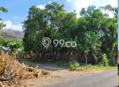 Tanah Kavling Dijual di Buleleng dengan Spesifikasi 10000m2 Tanah Kavling Dijual di Buleleng dengan Spesifikasi 10000m2