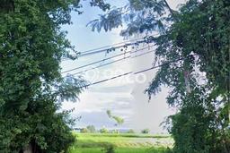 Tanah Dijual Lokasi Strategis di Jembrana dengan Luas 2250m2 Tanah Dijual Lokasi Strategis di Jembrana dengan Luas 2250m2
