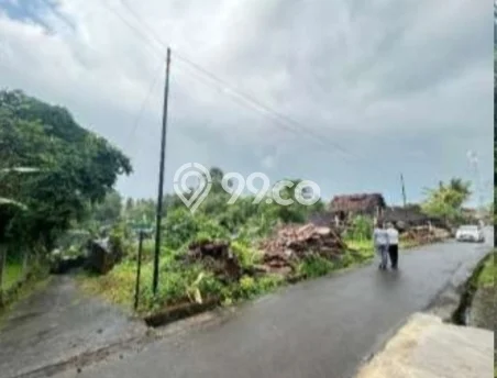 Tanah untuk Dijual Lokasi Kediri, Tabanan Luas 500m2 SHM Tanah untuk Dijual Lokasi Kediri, Tabanan Luas 500m2 SHM