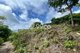 Tanah Kavling Dijual di Badung dengan Spesifikasi 450m2 Tanah Kavling Dijual di Badung dengan Spesifikasi 450m2
