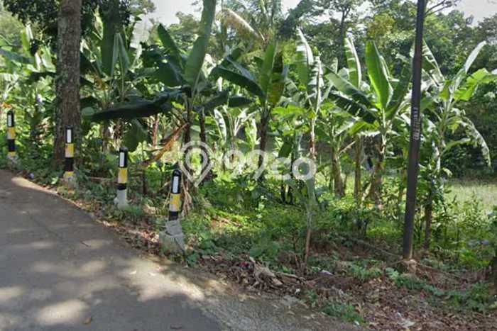 Tanah Kavling untuk Dijual di Sukamakmur Bogor 2e+06m2 Tanah Kavling untuk Dijual di Sukamakmur Bogor 2e+06m2