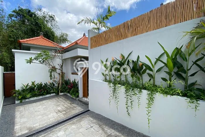 Disewakan Rumah Murah di Dalung Badung Punya 2 Kamar Tidur Disewakan Rumah Murah di Dalung Badung Punya 2 Kamar Tidur