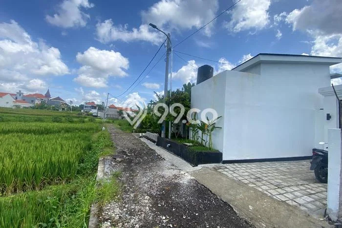 Rumah sewa siap pakai 2 Kamar Tidur di Canggu, Badung Rumah sewa siap pakai 2 Kamar Tidur di Canggu, Badung