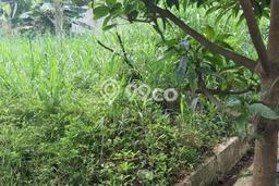 Tanah Dijual Lokasi Ciputat, Tangerang Selatan Luas 503m2 Legalitas Aman Tanah Dijual Lokasi Ciputat, Tangerang Selatan Luas 503m2 Legalitas Aman