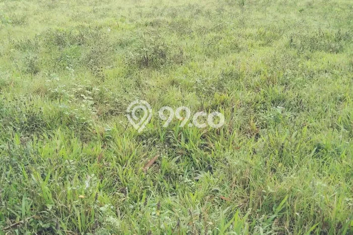 Kavling Tanah di Panongan Dijual Luas 4500m2 Legalitas - Kavling Tanah di Panongan Dijual Luas 4500m2 Legalitas -