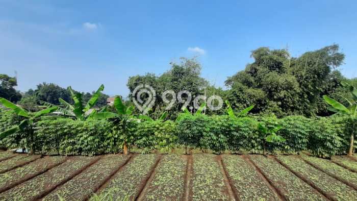 Tanah Investasi Dijual di Bandung Punya Luas 1000m2 Tanah Investasi Dijual di Bandung Punya Luas 1000m2