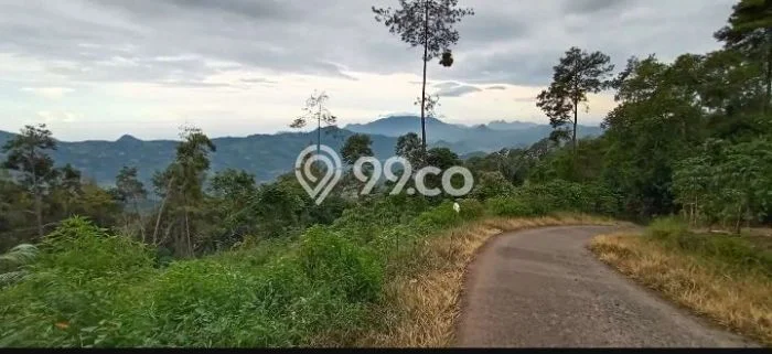 Tanah untuk Dijual di Cipanas Cianjur Luas 12500m2 Tanah untuk Dijual di Cipanas Cianjur Luas 12500m2