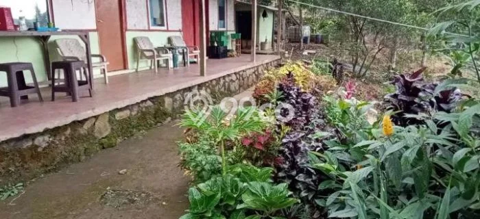 Tanah untuk Dijual di Cipanas Cianjur Luas 12500m2 Tanah untuk Dijual di Cipanas Cianjur Luas 12500m2