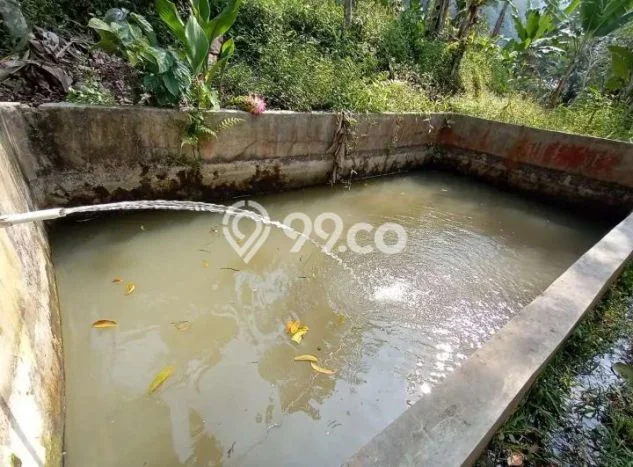 Tanah untuk Dijual di Cipanas Cianjur Luas 12500m2 Tanah untuk Dijual di Cipanas Cianjur Luas 12500m2
