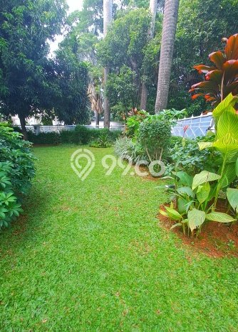 Rumah Luxury Modern Siap Huni di Pondok Indah Jakarta Selatan Rumah Luxury Modern Siap Huni di Pondok Indah Jakarta Selatan