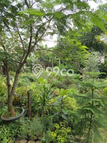 Tanah Dijual Area Strategis di Lebak Bulus Jakarta Selatan 875m2 Tanah Dijual Area Strategis di Lebak Bulus Jakarta Selatan 875m2