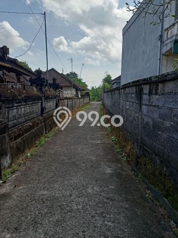 Tanah Investasi Dijual di Tabanan Punya Luas 3050m2 Tanah Investasi Dijual di Tabanan Punya Luas 3050m2