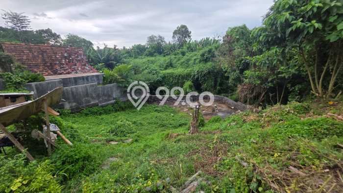 Kavling Tanah untuk Dijual di Saba, Gianyar, Luas 446m2 Kavling Tanah untuk Dijual di Saba, Gianyar, Luas 446m2