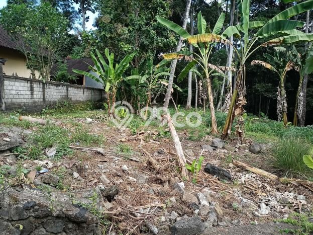 Tanah Investasi Dijual di Tabanan Punya Luas 3050m2 Tanah Investasi Dijual di Tabanan Punya Luas 3050m2