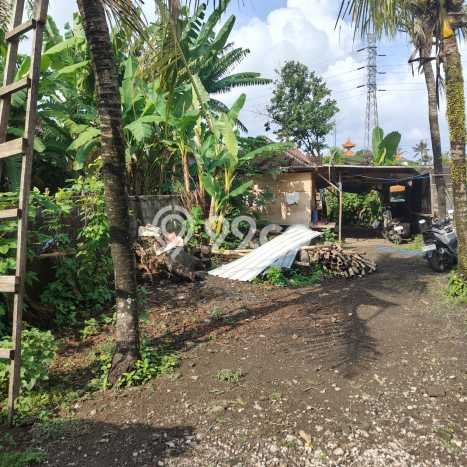 Tanah di Kediri, Tabanan Luas 200m2 Dijual Segera Tanah di Kediri, Tabanan Luas 200m2 Dijual Segera