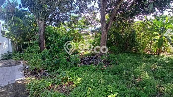 Tanah Lokasi Prima Kawasan , Luas 1300m2m², Kawasan Asri, Dekat Badung, Badung Tanah Lokasi Prima Kawasan , Luas 1300m2m², Kawasan Asri, Dekat Badung, Badung
