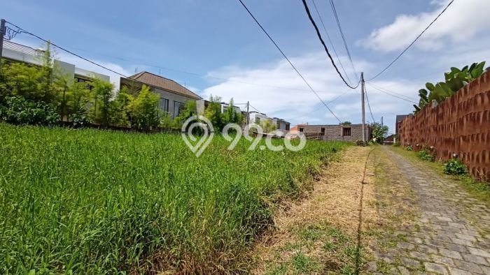 Tanah Dijual Area Strategis di canggu Badung 900m2 Tanah Dijual Area Strategis di canggu Badung 900m2
