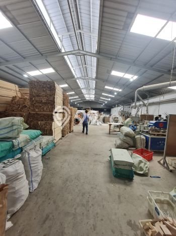 Gudang Bagus Dijual di Kapuk Jakarta Utara Lokasi Strategis Cocok untuk Kembangkan Bisnis Gudang Bagus Dijual di Kapuk Jakarta Utara Lokasi Strategis Cocok untuk Kembangkan Bisnis