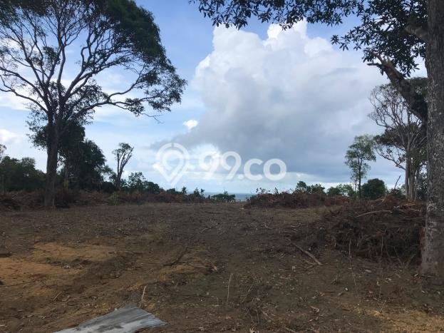 Tanah Kavling Dijual di Tanjung Tinggi, Belitung dengan Luas Tanah 12495m2 Tanah Kavling Dijual di Tanjung Tinggi, Belitung dengan Luas Tanah 12495m2