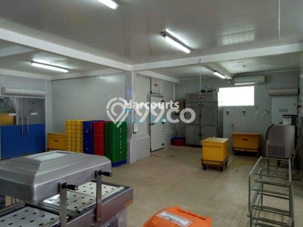 Untuk Dijual Gudang di Kuta Badung LT 440m2 / LB 440m2 Untuk Dijual Gudang di Kuta Badung LT 440m2 / LB 440m2