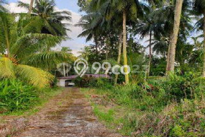 Lahan Dijual Lokasi Mapanget, Manado dengan Luas Tanah 14000m2 dan Status SHM Lahan Dijual Lokasi Mapanget, Manado dengan Luas Tanah 14000m2 dan Status SHM