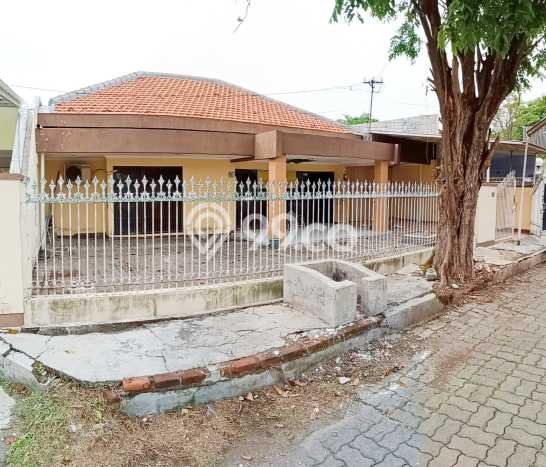 Rumah Elit Modern Siap Huni di Dharma Husada Surabaya Rumah Elit Modern Siap Huni di Dharma Husada Surabaya