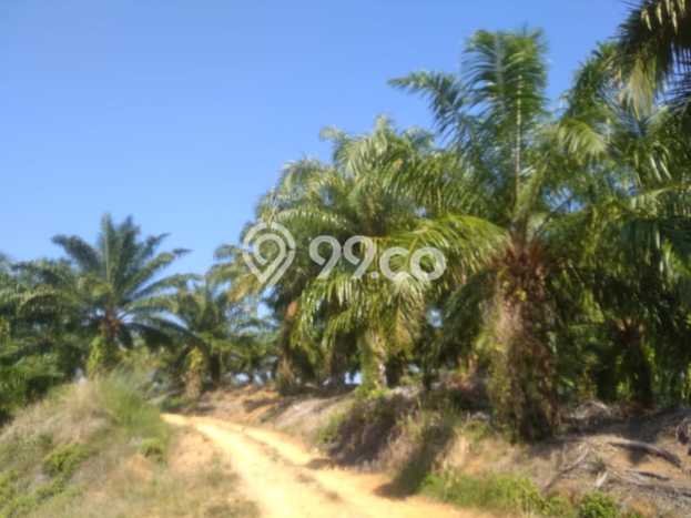 Kavling Tanah di Teras Terunjam Dijual Luas 4.25e+06m2 Legalitas - Kavling Tanah di Teras Terunjam Dijual Luas 4.25e+06m2 Legalitas -