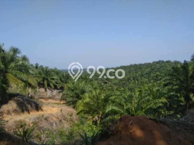 Kavling Tanah di Teras Terunjam Dijual Luas 4.25e+06m2 Legalitas - Kavling Tanah di Teras Terunjam Dijual Luas 4.25e+06m2 Legalitas -