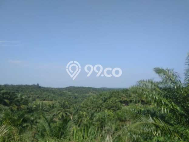 Kavling Tanah di Teras Terunjam Dijual Luas 4.25e+06m2 Legalitas - Kavling Tanah di Teras Terunjam Dijual Luas 4.25e+06m2 Legalitas -