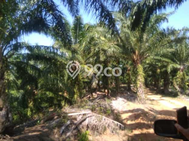 Kavling Tanah di Teras Terunjam Dijual Luas 4.25e+06m2 Legalitas - Kavling Tanah di Teras Terunjam Dijual Luas 4.25e+06m2 Legalitas -