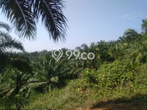 Kavling Tanah di Teras Terunjam Dijual Luas 4.25e+06m2 Legalitas - Kavling Tanah di Teras Terunjam Dijual Luas 4.25e+06m2 Legalitas -