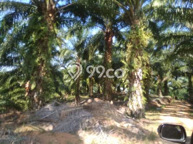 Kavling Tanah di Teras Terunjam Dijual Luas 4.25e+06m2 Legalitas - Kavling Tanah di Teras Terunjam Dijual Luas 4.25e+06m2 Legalitas -