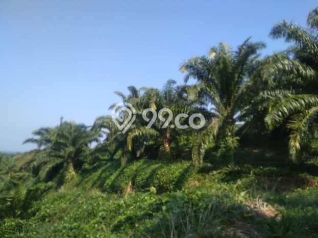 Kavling Tanah di Teras Terunjam Dijual Luas 4.25e+06m2 Legalitas - Kavling Tanah di Teras Terunjam Dijual Luas 4.25e+06m2 Legalitas -