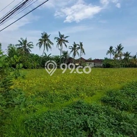 Tanah Dijual Area Strategis di Tanah Lot Tabanan 3500m2 Tanah Dijual Area Strategis di Tanah Lot Tabanan 3500m2