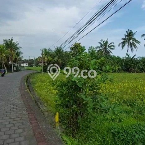 Tanah Dijual Area Strategis di Tanah Lot Tabanan 3500m2 Tanah Dijual Area Strategis di Tanah Lot Tabanan 3500m2