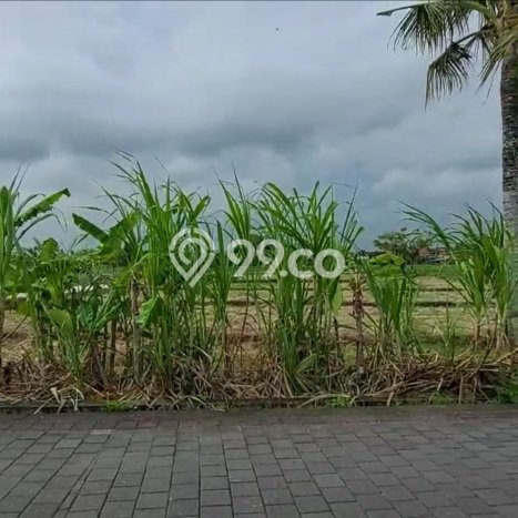 Tanah Dijual Area Strategis di Tanah Lot Tabanan 3500m2 Tanah Dijual Area Strategis di Tanah Lot Tabanan 3500m2