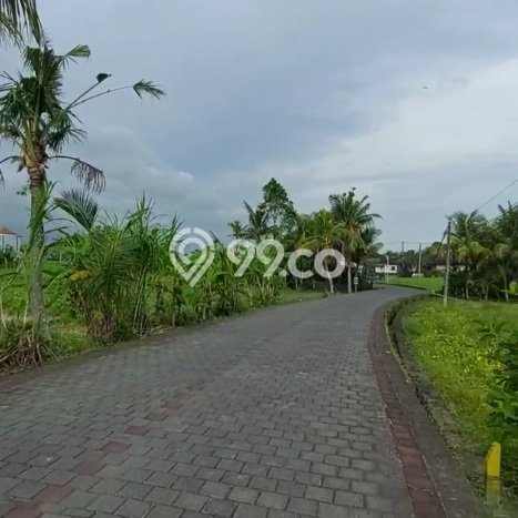 Tanah Dijual Area Strategis di Tanah Lot Tabanan 3500m2 Tanah Dijual Area Strategis di Tanah Lot Tabanan 3500m2