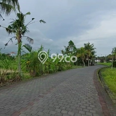 Tanah Dijual Area Strategis di Tanah Lot Tabanan 3500m2 Tanah Dijual Area Strategis di Tanah Lot Tabanan 3500m2